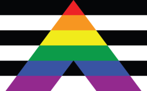 Straight Ally Pride Flag