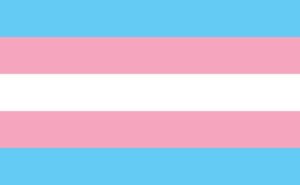 Transgender Pride Flag