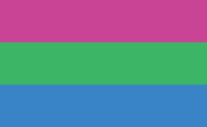 Polysexual Pride Flag