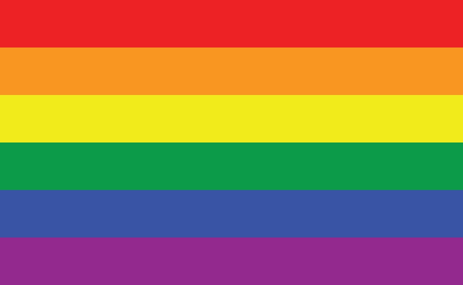 what is the gay flag look like