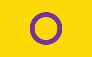 Intersex Pride Flag
